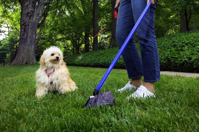 Serravalle cartellino giallo ai proprietari di cani: lasciate puliti i marciapiedi