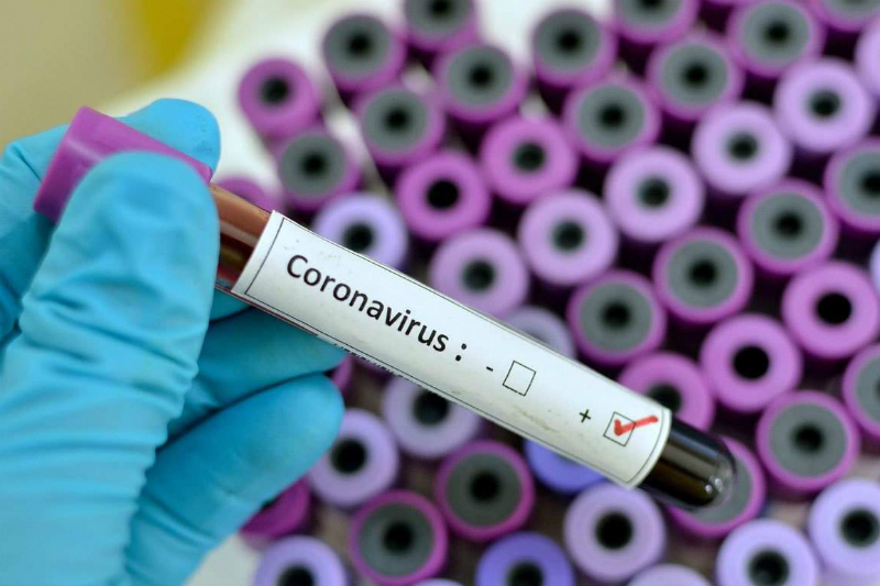 coronavirus piemonte
