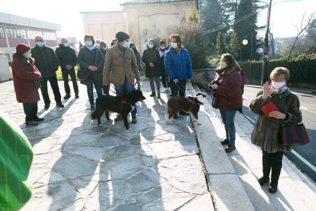 Cani, gatti, tartarughe e coniglietti