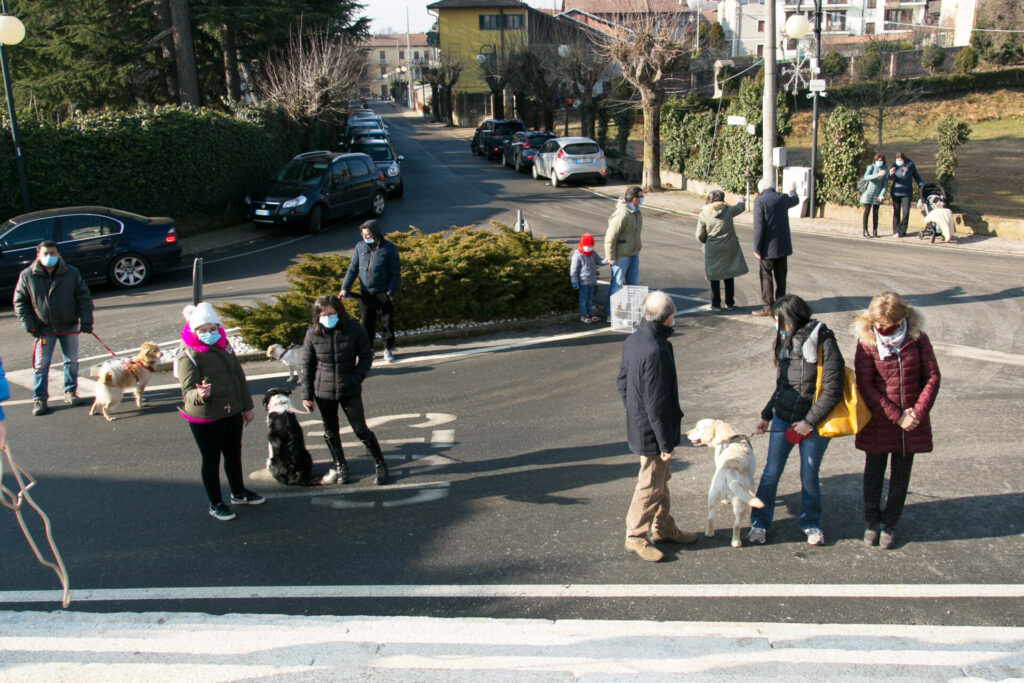 Cani, gatti, tartarughe e coniglietti