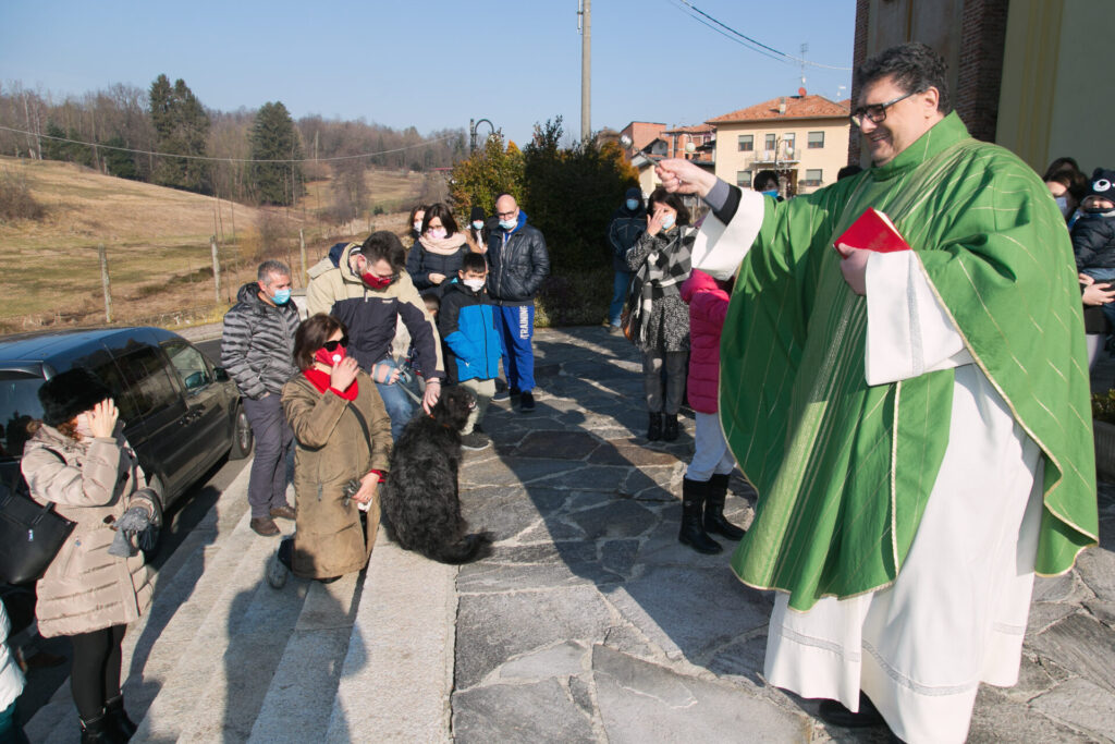 Cani, gatti, tartarughe e coniglietti