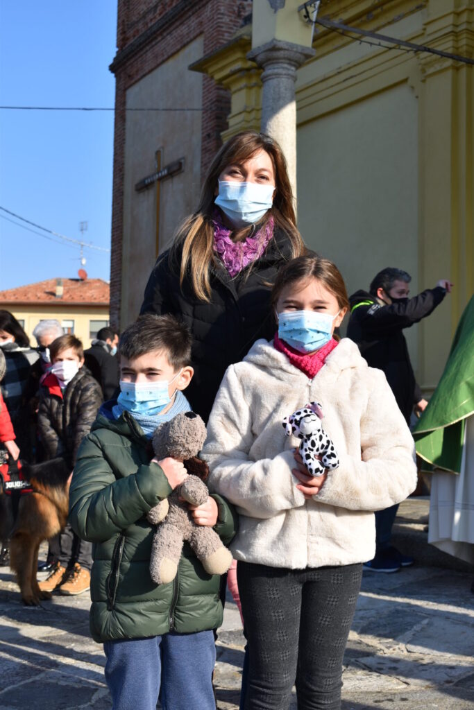 Cani, gatti, tartarughe e coniglietti