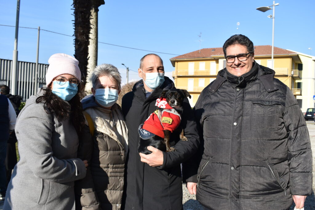 Cani, gatti, tartarughe e coniglietti