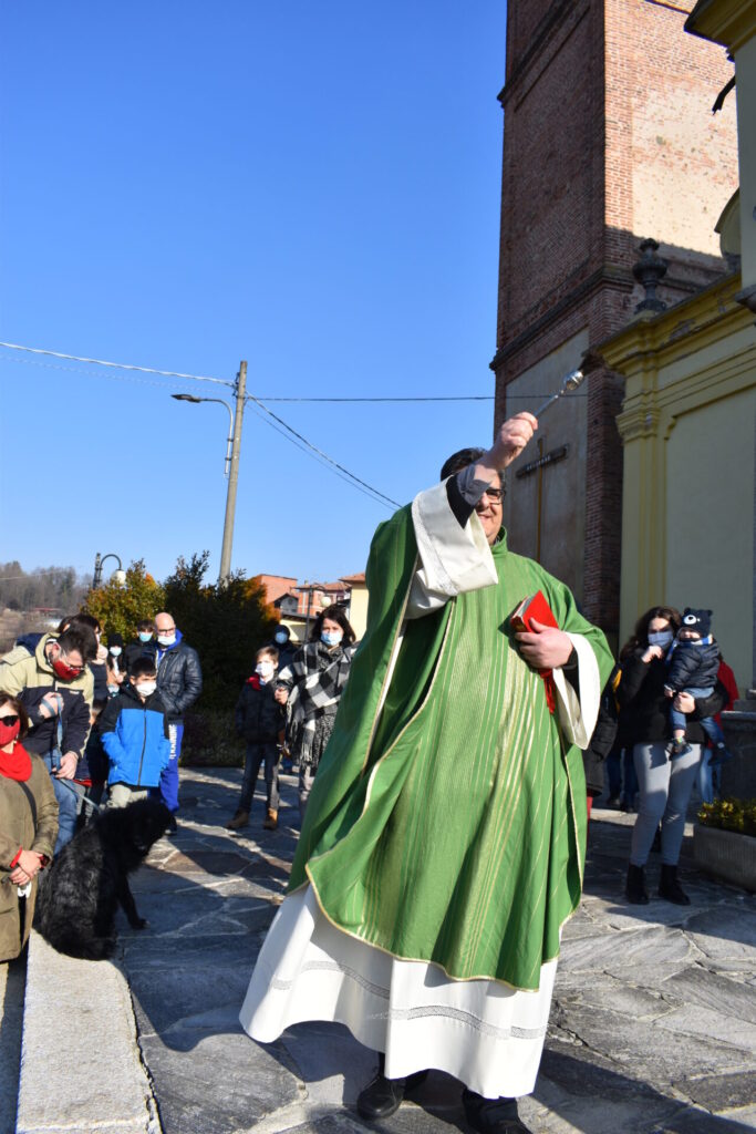 Cani, gatti, tartarughe e coniglietti