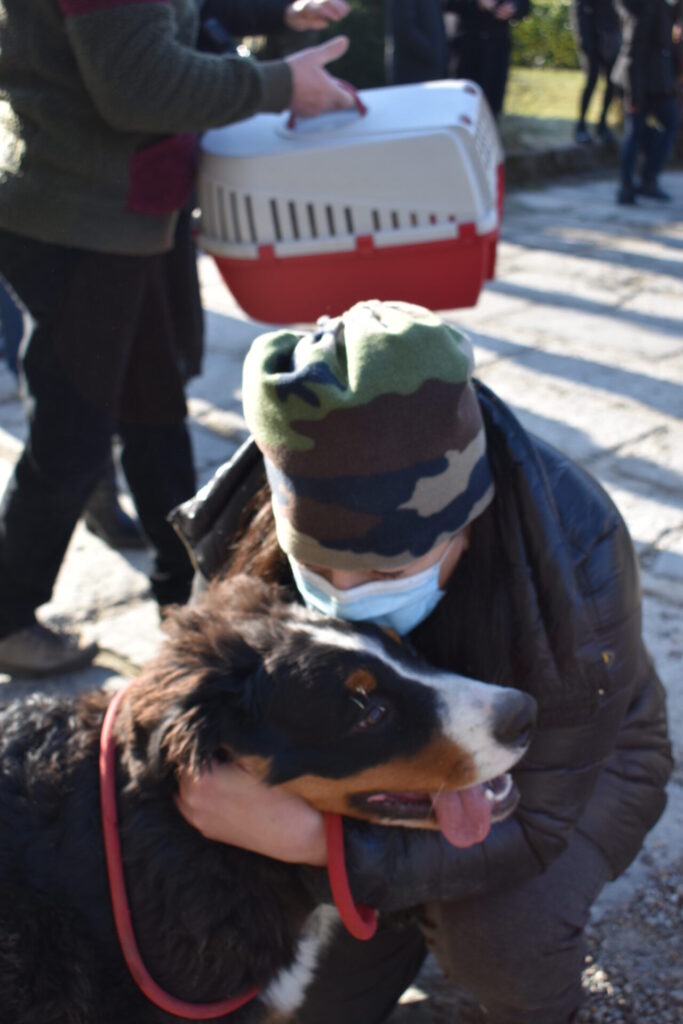 Cani, gatti, tartarughe e coniglietti