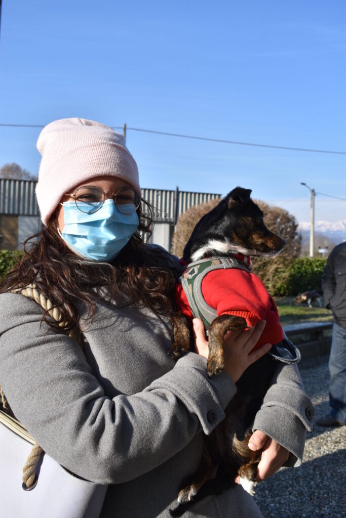 Cani, gatti, tartarughe e coniglietti