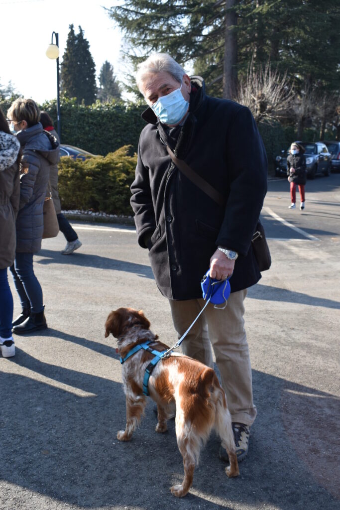 Cani, gatti, tartarughe e coniglietti