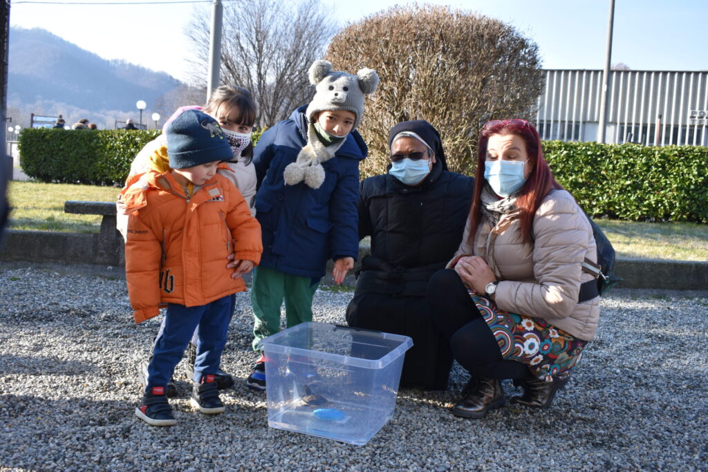 Cani, gatti, tartarughe e coniglietti