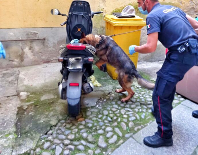 Droga nello scooter