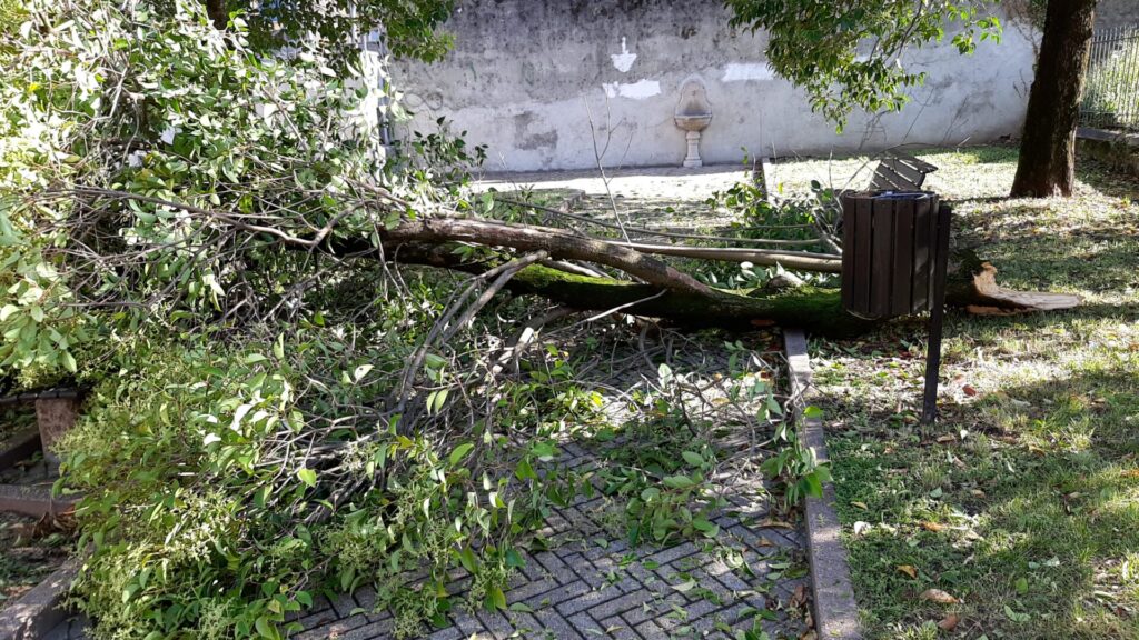 Romagnano tra le località più colpite dal maltempo: le foto del giorno dopo