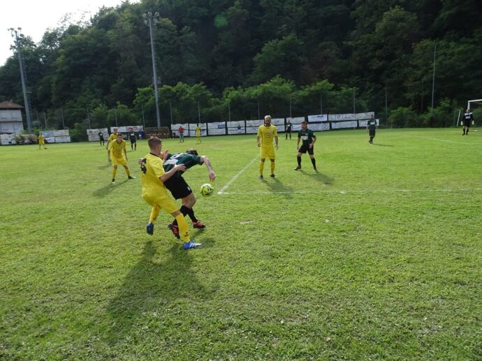 Larve di Popillia si mangiano il campo di Valduggia: allenamenti sospesi