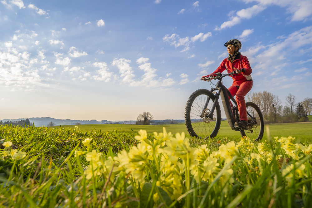 Bici elettrica