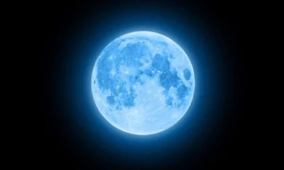 luna blu