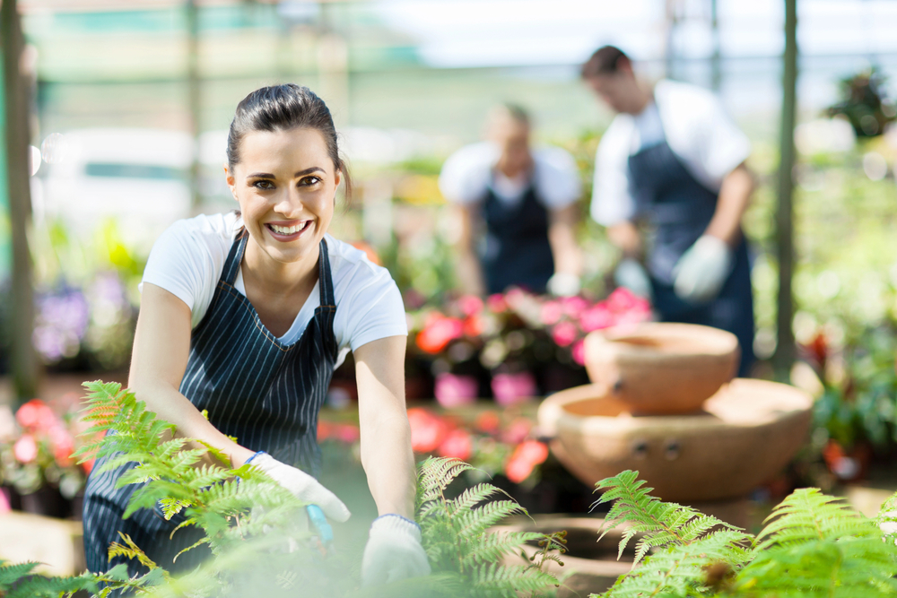 Ragazza al lavoro in azienda florovivaistica - Opportunità di lavoro da Garden Zanet di Prato Sesia