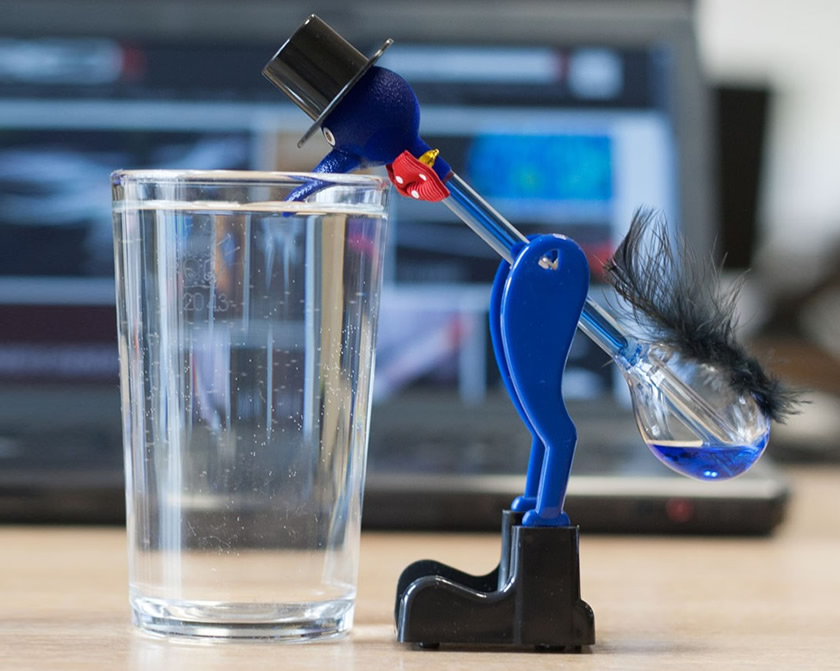 Drinking bird