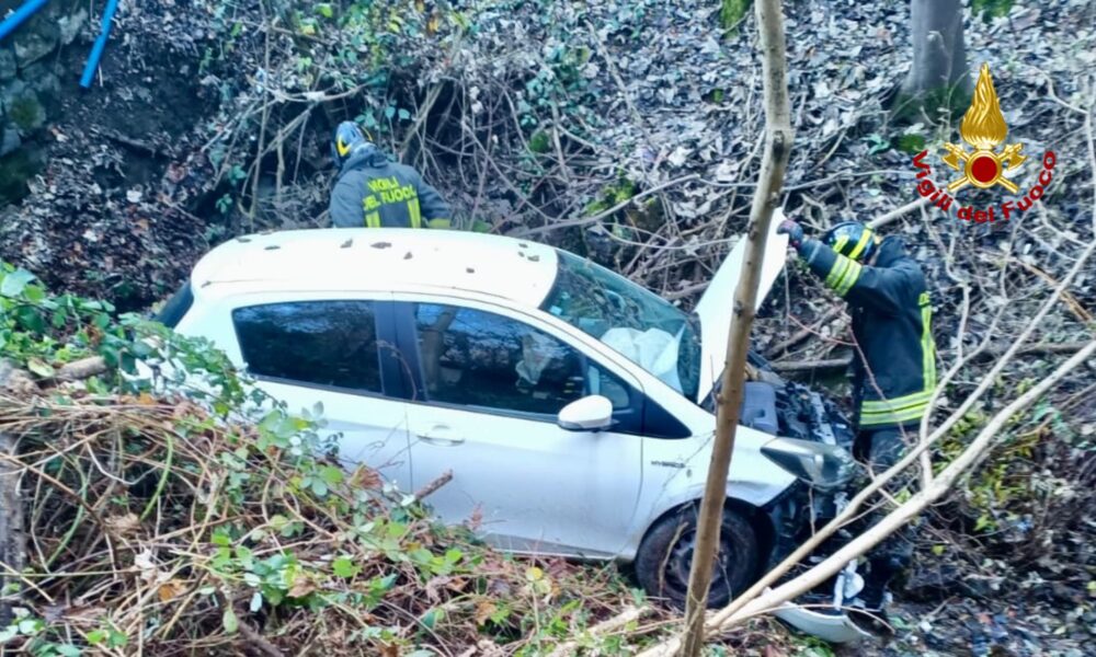 portula incidente