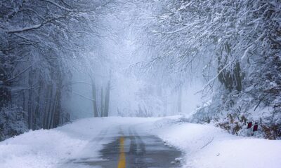 Iva Presta e cambiamenti climatici - Strada innevata