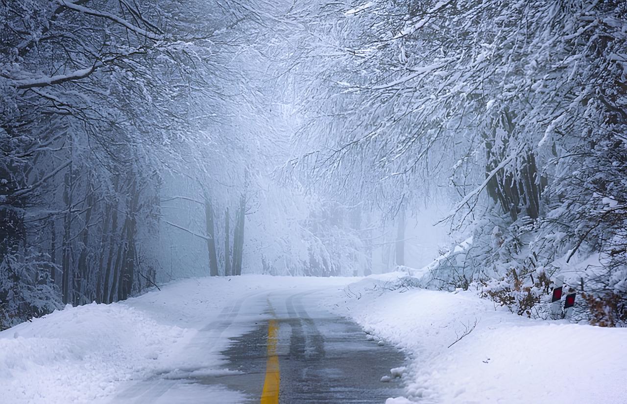 Iva Presta e cambiamenti climatici - Strada innevata