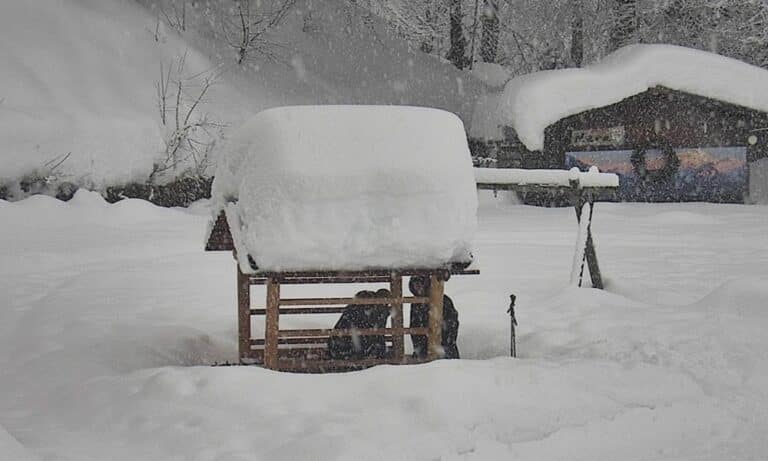Altra abbondante nevicata: a Mera si va verso i 140 centimetri di accumulo